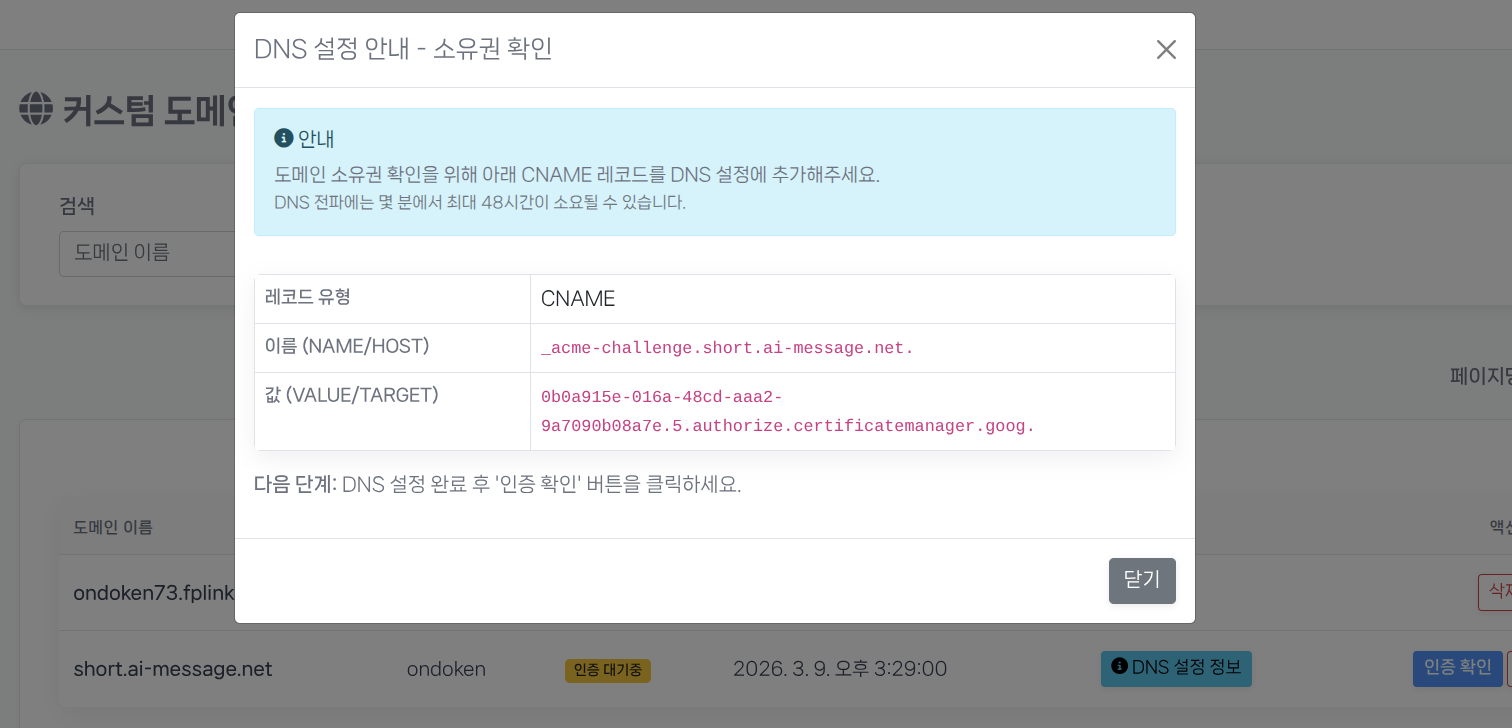 DNS 설정 안내 화면